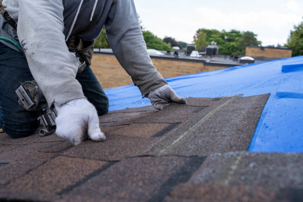Quick and Trustworthy Emergency Roof Repair Services in Parkers Prairie, MN