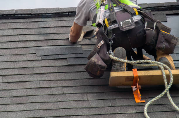 Best Roof Leak Repair  in Parkers Prairie, MN