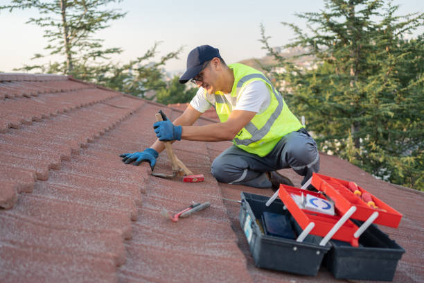 Best Flat Roof Repair Services  in Parkers Prairie, MN