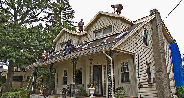 Best Gutter Installation and Roofing  in Parkers Prairie, MN