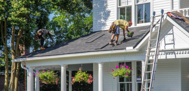 Best Gutter Installation and Roofing  in Parkers Prairie, MN